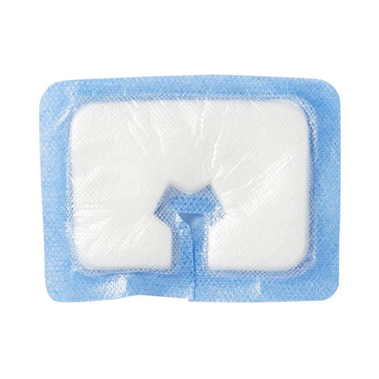 Sorbex™ Sterile Absorbent Dressing, 2 x 3 Inch