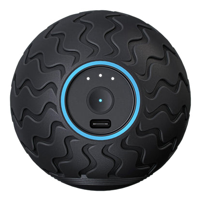 Wave Solo Vibration Therapy Exercise Ball