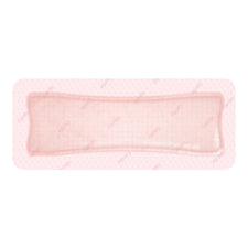 Smith and Nephew Silicone Dressing Allevyn Gentle Border 4 X 8 Inch With Border Film Backing Silicone Gel Adhesive Rectangle Sterile