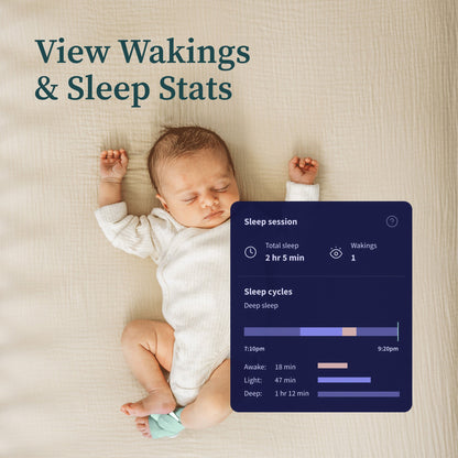 Baby Monitoring System Owlet® Dream Sock Dusty Rose