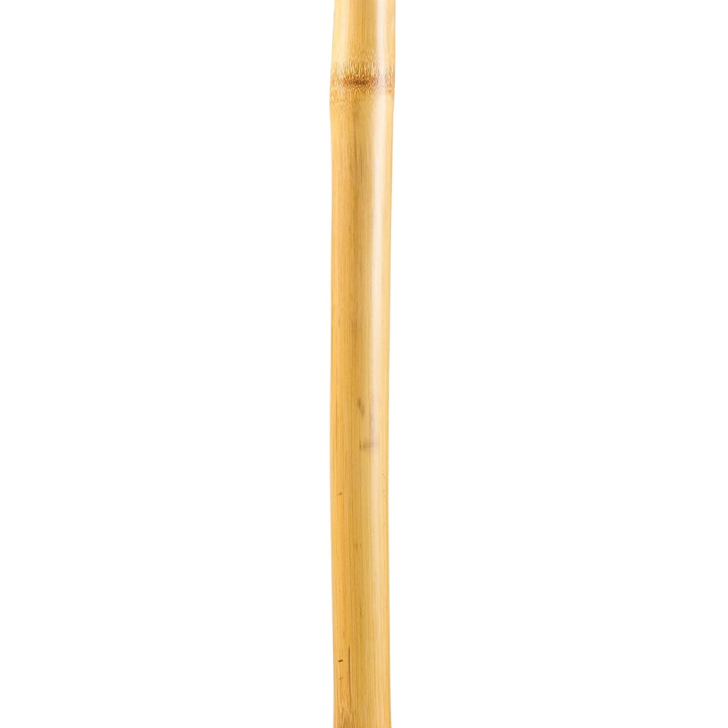 Brazos™ Iron Bamboo Rustic Walking Stick, 48 Inch Height