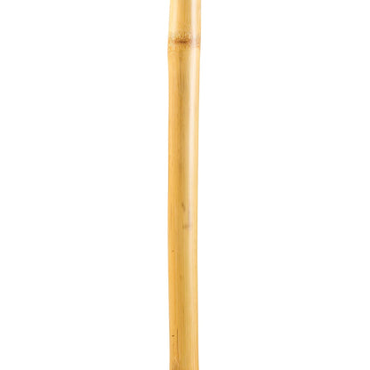Brazos™ Iron Bamboo Rustic Walking Stick, 48 Inch Height